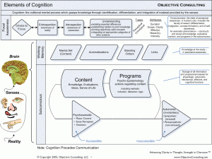 Elements of Cognition